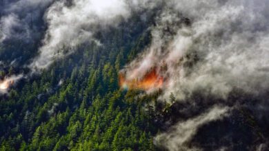 Дым от лесных пожаров на высоте меняет представления о климате Земли