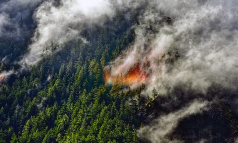 High-Altitude Wildfire Smoke Is Shifting Our Understanding of Earth’s Climate
