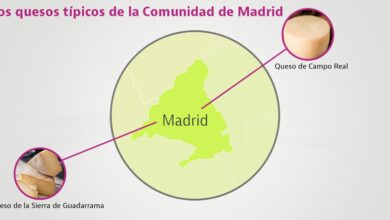 Какие сыры обязательно стоит попробовать в Мадриде и его окрестностях