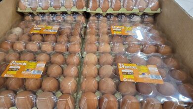 Mercadona временно сокращает долю яиц от свободных кур из-за птичьего гриппа