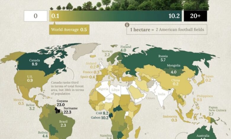 Which Countries Lead in Forest Area per Capita Worldwide
