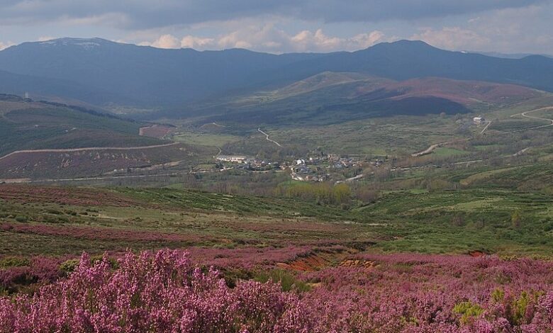The Largest City in León Is Bigger Than the Capital and Ponferrada Combined