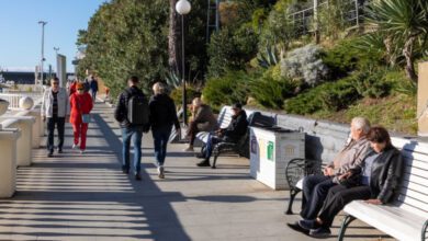 Почему весна приходит в разные сроки даже в соседних регионах планеты