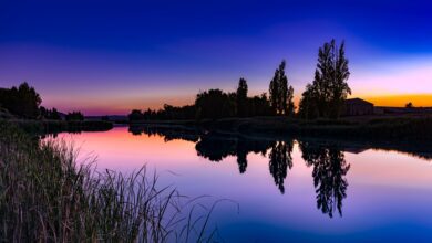 Где живёт Рауль Симас: тайны и красота Альбалате-де-Сорита