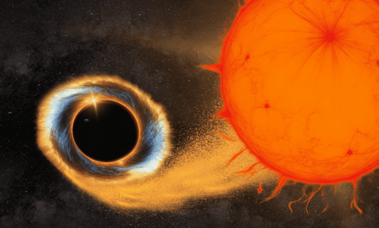 Astronomers Unveil the Mystery of the Red Giant’s Youth in the Gaia BH2 System