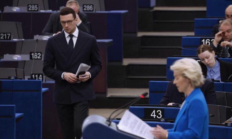 EU launches Mercosur deal without farmer protections despite protests