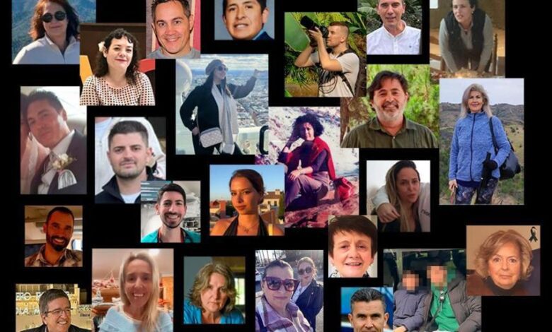 Train Disaster in Andalusia: What the Official Reports Don’t Reveal