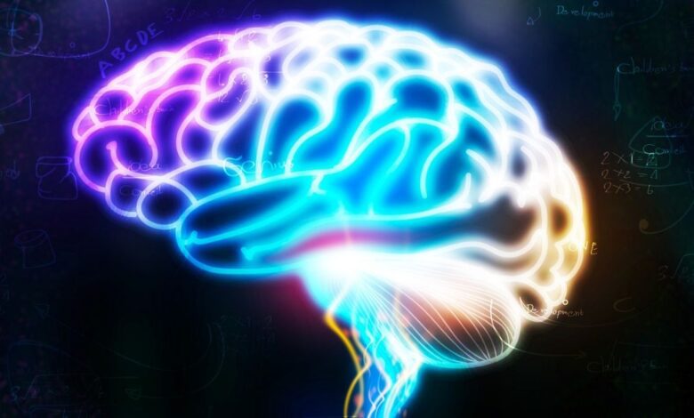 Scientists Find Early Brain Signal for Predicting Alzheimer’s Disease