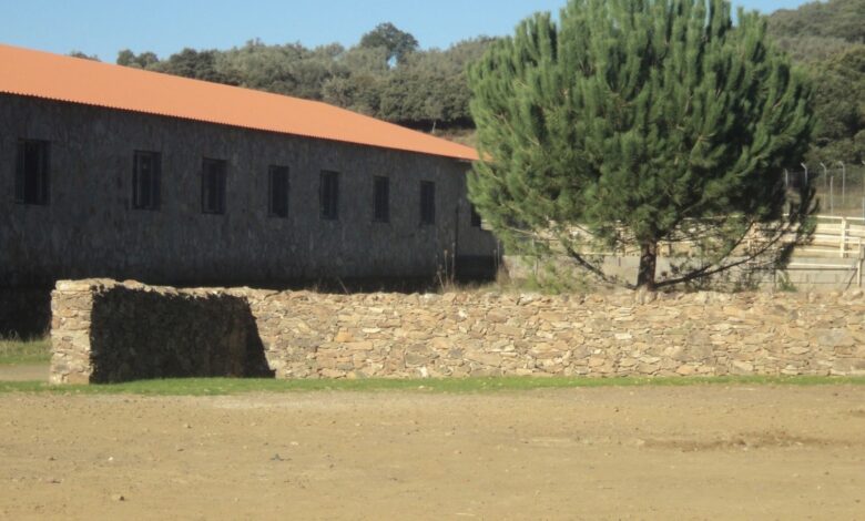 Surge in Farmland Deals in Spain Amid Debate Over Land Access