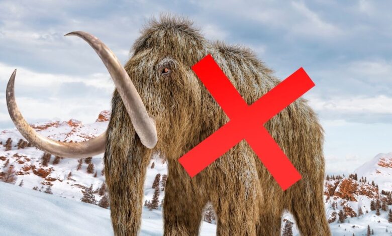 Ошеломляющие открытия недели в науке от загадочных костей до тайны рыжих