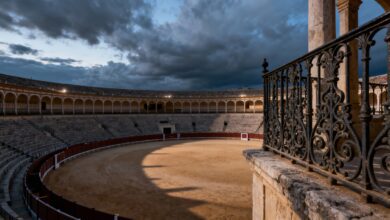 Власти Испании готовят запрет на посещение корриды детьми - разгорается спор