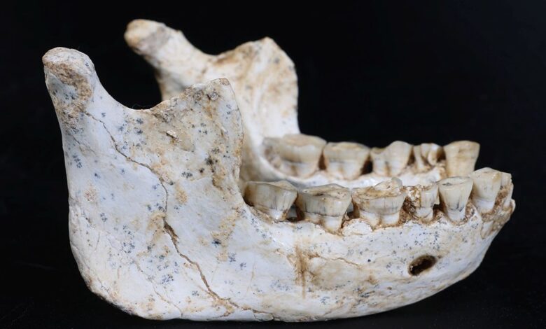 Ancient Remains from Moroccan Cave Challenge Understanding of Human Evolution