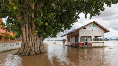 ΠΠ°ΠΊ Π½Π΅ΠΎΠ±ΡΡΠ½ΠΎΠ΅ ΠΏΠΎΠ²Π΅Π΄Π΅Π½ΠΈΠ΅ ΡΡΡΡΠΉΠ½ΠΎΠ³ΠΎ ΡΠ΅ΡΠ΅Π½ΠΈΡ Π²ΡΠ·Π²Π°Π»ΠΎ ΠΊΠ°ΡΠ°ΡΡΡΠΎΡΠΈΡΠ΅ΡΠΊΠΈΠ΅ Π»ΠΈΠ²Π½ΠΈ Π² Π‘Π¨Π Π»Π΅ΡΠΎΠΌ 2025