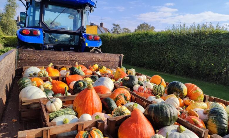 Трактор с фруктами в снегу: необычная акция потрясла спокойный район Нидерландов