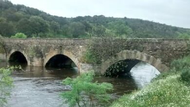 ΠΡΠΎΠ²Π°Π²Π°Ρ Π½ΠΎΡΡ ΠΏΠΎΠ΄ ΠΠ°ΡΡΠ΅Π»ΠΎΠ½ΠΎΠΉ: ΡΡΠΎ ΡΠΊΡΡΠ²Π°ΡΡ Π½Π°Ρ
ΠΎΠ΄ΠΊΠΈ Ρ ΠΏΠΎΠ»Ρ Π±ΠΈΡΠ²Ρ