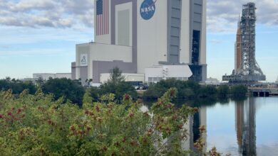 Гигантский SLS Artemis 2 выкатили к стартовой площадке для лунной миссии NASA