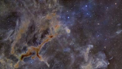 Редкий снимок: темная туманность LDN 1245 напоминает космического жирафа в Млечном Пути
