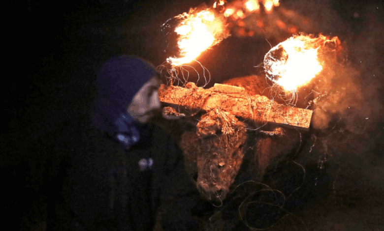 Castile and León authorities race to safeguard the Medinaceli fire bull before elections