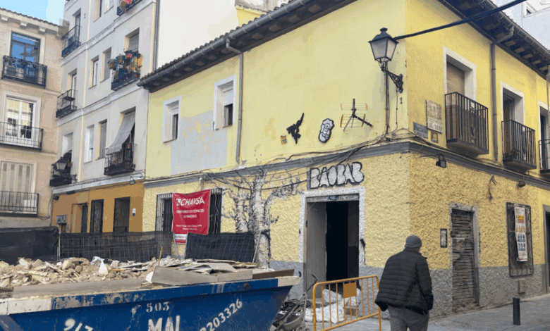 Madrid Authorities Suspend Demolition at Iconic Baobab Site in Lavapiés