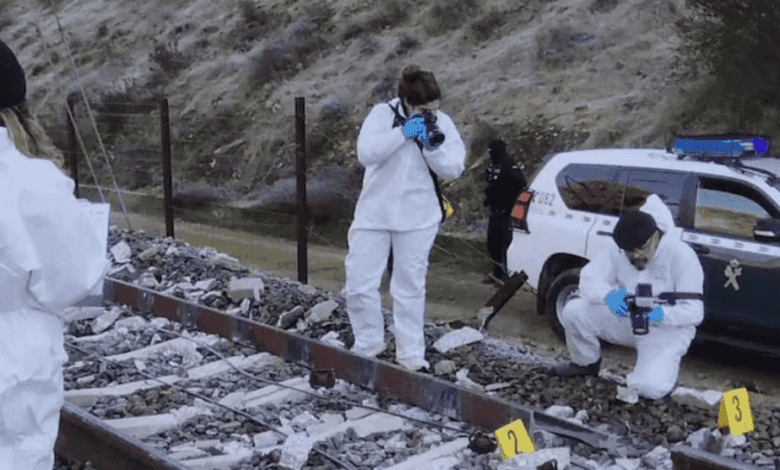 Investigation into the Adamuz Disaster What Caused the Deaths of Dozens