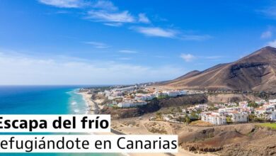 Канарские острова как идеальное убежище от зимних холодов в Европе 2026
