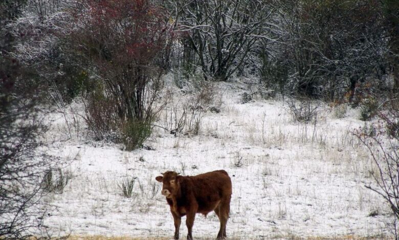 Val de San Lorenzo se congela con temperaturas de hasta -9,6º y niños jugando afuera