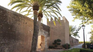 ΠΠ°ΡΠΊΠ°ΡΠ΅Π»Ρ β Π΅Π΄ΠΈΠ½ΡΡΠ²Π΅Π½Π½Π°Ρ ΠΏΠΎΠ»Π½ΠΎΡΡΡΡ ΠΎΠΊΡΡΠΆΡΠ½Π½Π°Ρ ΡΡΠ΅Π΄Π½Π΅Π²Π΅ΠΊΠΎΠ²Π°Ρ Π΄Π΅ΡΠ΅Π²Π½Ρ ΠΠ°Π»Π΅Π½ΡΠΈΠΈ ΠΈ Π΅Ρ ΡΠ°ΠΉΠ½Ρ