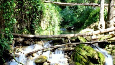 Необычная прогулка по Арриате в Малаге: маршрут с гигантским банком и дикой природой
