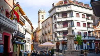 Π‘ΠΊΡΡΡΠ°Ρ ΠΆΠ΅ΠΌΡΡΠΆΠΈΠ½Π° ΠΠ°Π»Π΅Π½ΡΠΈΠΈ: Π³Π΄Π΅ Π½Π°ΠΉΡΠΈ ΡΠ΅Π΄Π΅Π²Ρ ΡΠΏΠΎΡ
ΠΈ ΠΠΎΠ·ΡΠΎΠΆΠ΄Π΅Π½ΠΈΡ ΡΡΠ΅Π΄ΠΈ Π²ΠΈΠ½ΠΎΠ³ΡΠ°Π΄Π½ΠΈΠΊΠΎΠ²