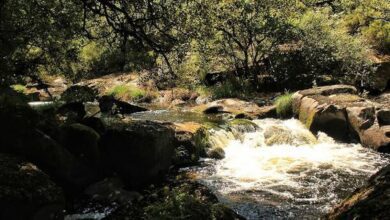 ΠΠΈΠΌΠ½ΠΈΠΉ ΠΌΠ°ΡΡΡΡΡ ΠΏΠΎ Π’ΠΎΡΡΠ΅Π½ΡΠ°ΠΌ ΠΠ°ΠΊΠ°ΡΡ Π² ΠΠ°Π»ΠΈΡΠΈΠΈ: Π²ΠΎΠ΄ΠΎΠΏΠ°Π΄Ρ