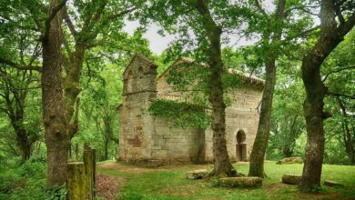 ΠΠ°ΡΠ΅ΡΡΠ½Π½Π°Ρ ΡΠ²ΡΡΡΠ½Ρ ΠΠ°Π½ΡΠ°Π±ΡΠΈΠΈ: Π·Π°Π³Π°Π΄ΠΎΡΠ½Π°Ρ ΡΠ΅ΡΠΊΠΎΠ²Ρ X Π²Π΅ΠΊΠ° ΡΡΠ΅Π΄ΠΈ Π²Π΅ΠΊΠΎΠ²ΡΡ
Π»Π΅ΡΠΎΠ²