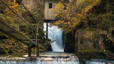 В Наварре обнаружен загадочный лесной маршрут с тайным мельничным прошлым