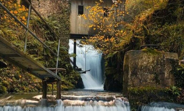 A Mysterious Forest Trail with a Secret Mill Past Discovered in Navarra