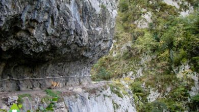 Маршрут по ущелью Ксанас в Астурии который стоит пройти этой зимой