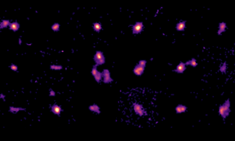 Young galaxies surprise astronomers with rapid growth and richness in metals