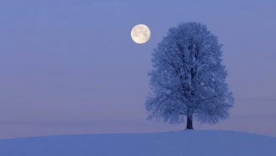 Лунное затмение февраля: почему испанцы обсуждают необычное явление