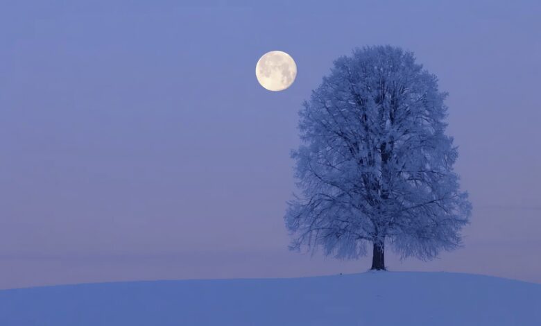 February Lunar Eclipse Why Spaniards Are Discussing This Unusual Phenomenon