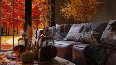 Пять натуральных способов наполнить дом ароматом осеннего леса в Испании