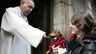 Праздник Сан-Антон в Испании: где увидеть огненные шоу и благословение животных