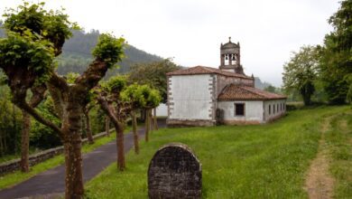 Где жить в Вильявисьосе в 2026 году и сколько это стоит