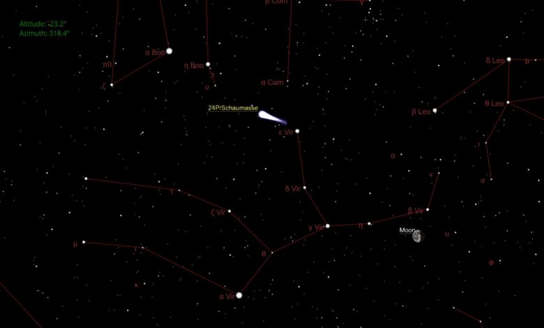 Комета 24P/Schaumasse сближается с Солнцем в январе 2026 года — как её найти