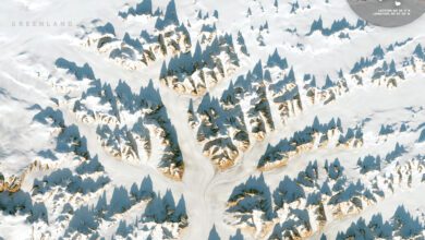 Европейский спутник Sentinel-2 показал ледяные вершины Гренландии с орбиты
