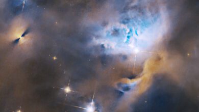 Телескоп Hubble фиксирует рождение новых звезд в туманности NGC 1333