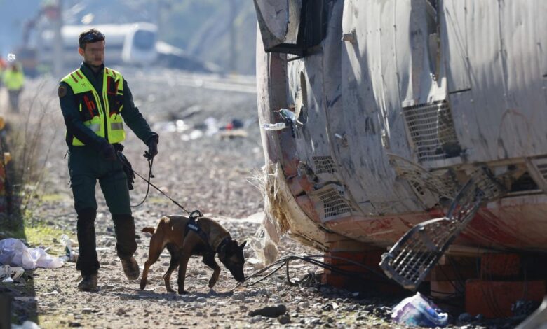 Investigación del accidente cerca de Córdoba Qué revelan las marcas en los vagones de Iryo y Alvia