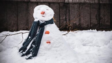 Снег в Мадриде возможен уже в эти выходные — когда и где ждать осадков