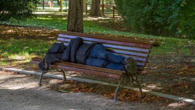 Мужчина три года живёт под деревом и ждёт новую жизнь в доме подруги