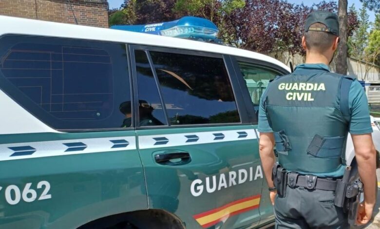 Descubren cuatro plantaciones clandestinas de marihuana y detienen a un hombre buscado en Granada