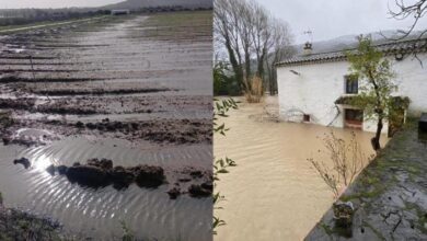 Андалусия подсчитывает ущерб: катастрофические потери после разрушительного шторма RUSSPAIN.COM