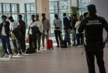 In Spain, 80% of New Jobs Have Been Taken by Migrants Since 2024