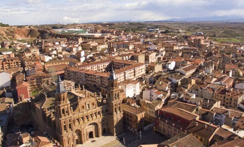 The city where hundreds of storks have taken over the rooftops A unique phenomenon in La Rioja